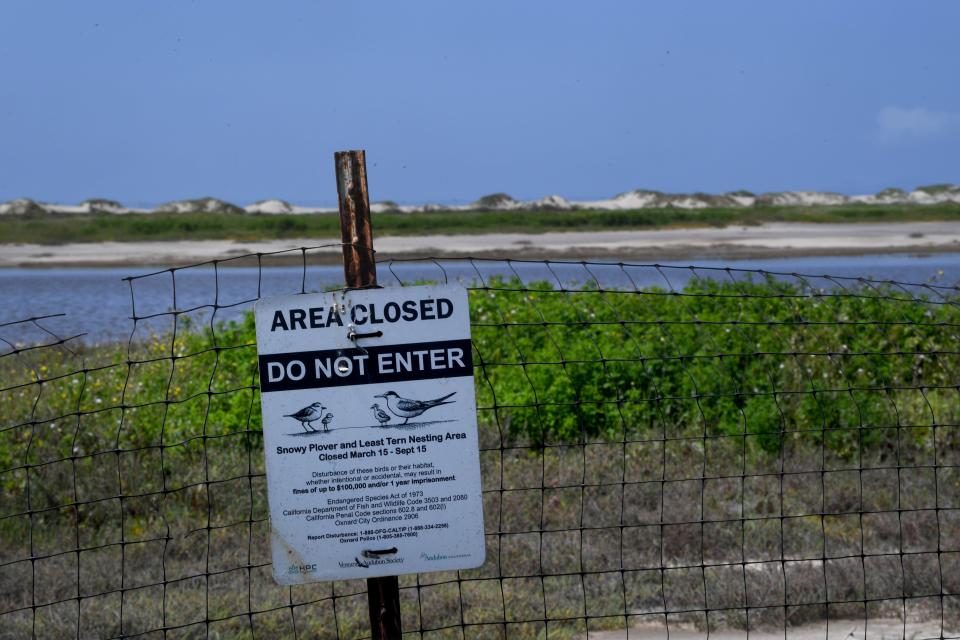 Signs warn visitors to avoid disturbing a nesting ground for snowy plovers and least terns at Ormond Beach in mid-April.