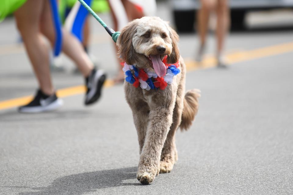 Scenes from the Farragut Independence Day Parade on Kingston Pike, Tuesday, July 4, 2023.