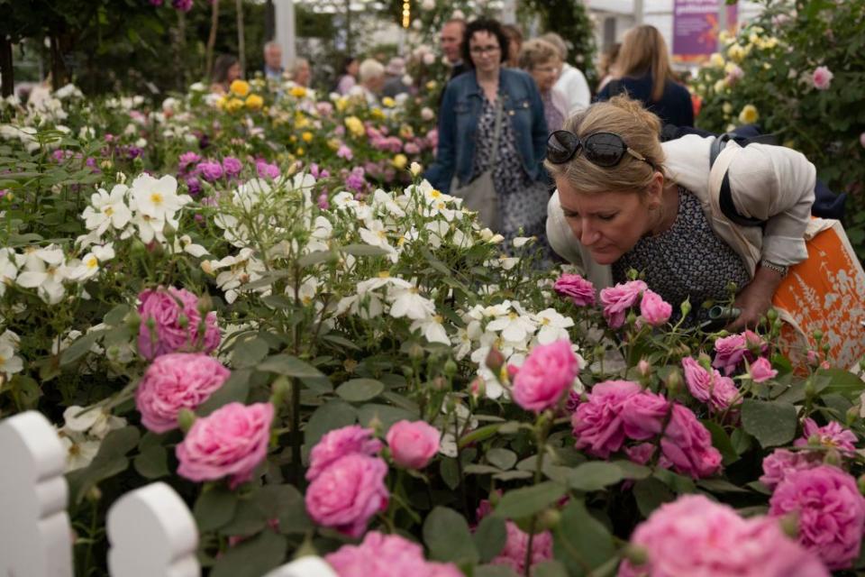 <p>The annual RHS Chelsea Flower Show is the most famous celebration of gardening talent in the UK. This incredible display of innovative horticulture will introduce you to hundreds of floral displays created with rare and unusual plants, as well as more classic designs. It’s bound to leave you with plenty of inspiration for your own gardening projects. </p><p>Join our exceptional four-day tour of England’s finest gardens and you’ll spend a day exploring the Chelsea Flower Show, on a day exclusively for RHS members. You’ll see over 20 full-sized show gardens, along with flower arranging displays, floristry and garden design marquees, courtyard gardens, window boxes and hanging baskets. Visits to Kew Gardens, Chelsea Physic Garden, Sky Gardens, Ham House and Garden, Chiswick House and Garden, and RHS Wisley are also on the itinerary. </p><p><strong>When?</strong> May 2023</p><p><a class="link " href="https://www.goodhousekeepingholidays.com/tours/gardens-tour-chelsea-flower-show" rel="nofollow noopener" target="_blank" data-ylk="slk:FIND OUT MORE">FIND OUT MORE</a></p>