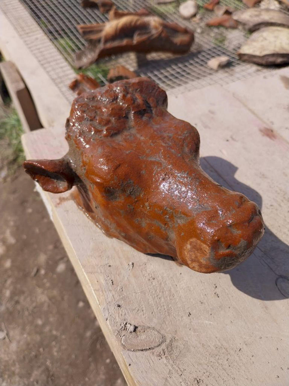 This undated photo shows a terracotta bull head found in a newly discovered sanctuary, which dates from the 5th century B.C., that was first identified in 2019 along the ancient city walls of Paestum, Southern Italy. The excavations of the sanctuary in the ancient city of Paestum have unearthed seven terracotta bull heads and a figurine of Eros riding a dolphin that shines new light on the religious life and rituals of the ancient Greek city, culture ministry officials said Saturday, April 15, 2023. (Paestum Velia Archeological Park via AP)