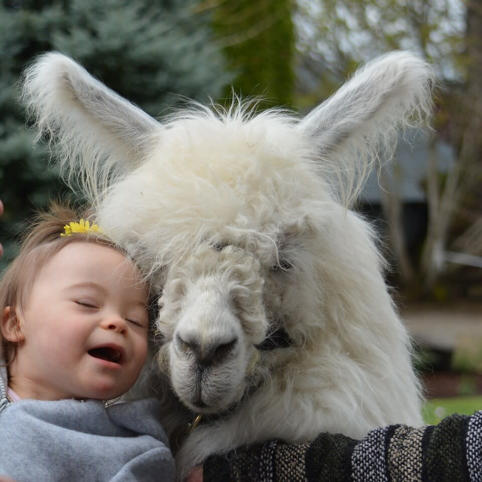 A little girl smiles with a llama. (Ariel Knox)