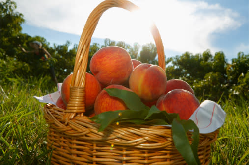 Pêches : «Plus de 60 pesticides ont été trouvés sur ce fruit», dit-elle. «Des alternatives plus sûres sont la pastèque et les oranges». Les pêches sont 4eme sur la liste. La pastèque et le pamplemousse sont respectivement 12 et 14eme sur la liste 15 Clean - une liste des produits contenant des niveaux les plus bas de pesticides.