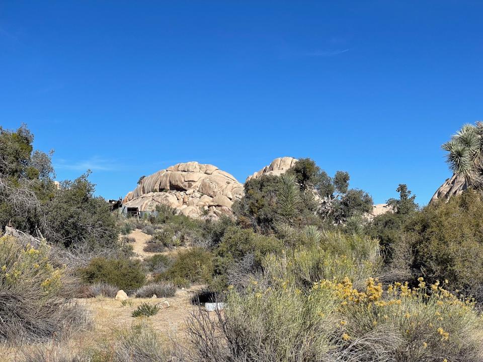 Part of the Wall Street Mine site in Joshua Tree National Park, California.