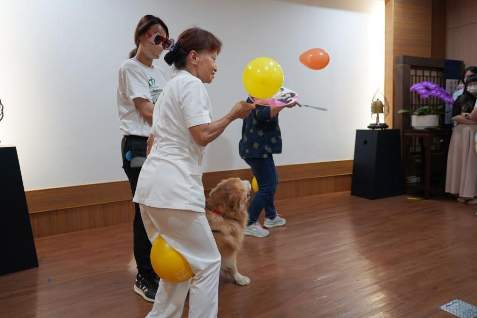 台中慈院護理部顧問張梅芳（前），從動物輔療中體驗如何協助個案訓練肢體復健。（記者徐義雄攝）