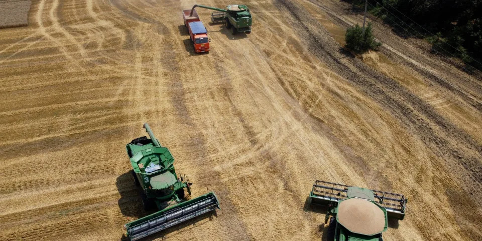 Ukraine Wheat fields