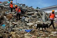 Indonesian police officers with a K9 unit sniffer dog search for victims among the ruins of a hospital building collapsed following an earthquake in Mamuju