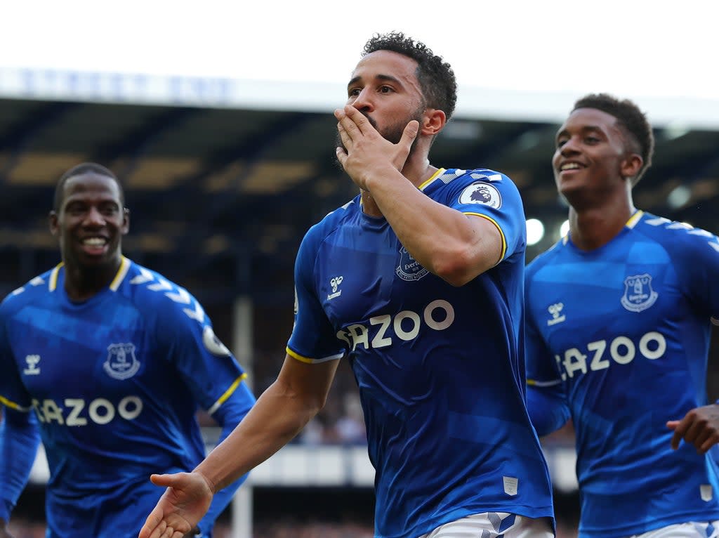 Andros Townsend celebrates scoring Everton’s opener against Norwich (Getty Images)