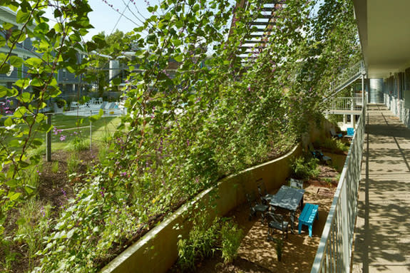 View of new serpentine retaining wall and cable trellis system at ECO Modern Flats. Serpentine retaining walls addressed erosion on the sloping site and carve out patio areas for ground level units. A green screen of flowering vines shades the