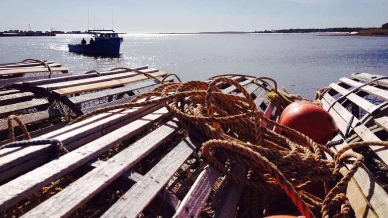 N.B. First Nation seeking access to fishery has international implications