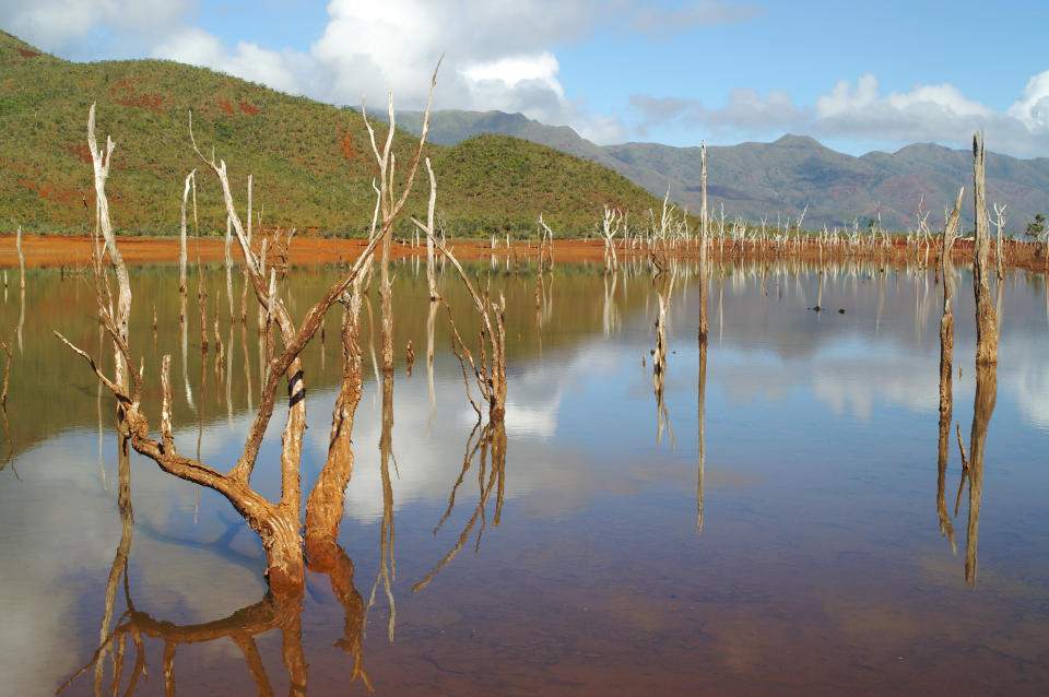 An inland lake floods what used to be a thriving forest on the south of the island. Photo: Getty