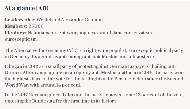 At a glance | Who are the AfD?