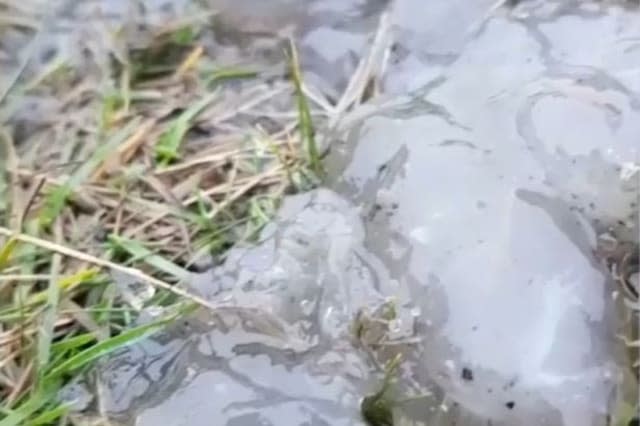 Mysterious 'moon poo' found on Huddersfield moorland