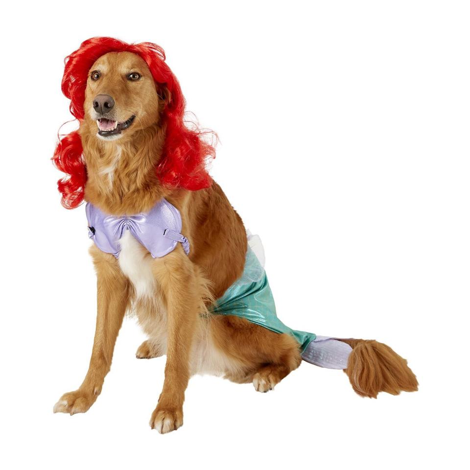 Dog wearing a Rubie’s Costume Company Ariel Disney Princess Costume on a white background