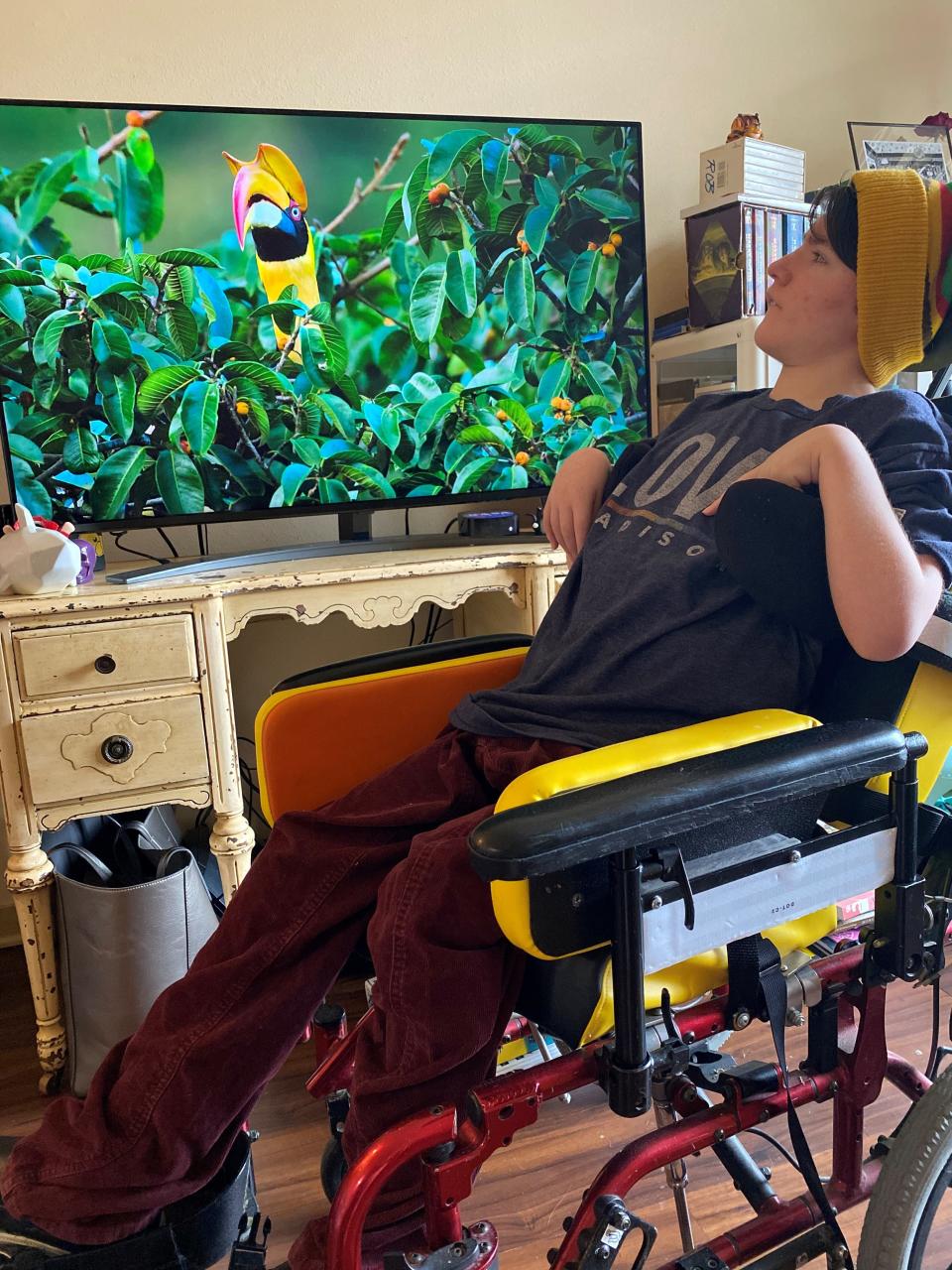 Zavier Hauser, 14, watches a nature documentary Wednesday at home in Madison, Wisconsin. Since the shutdown of his school, his mother, Anna Hauser, says she has not received any guidance from the district on remote learning for her son with special needs.