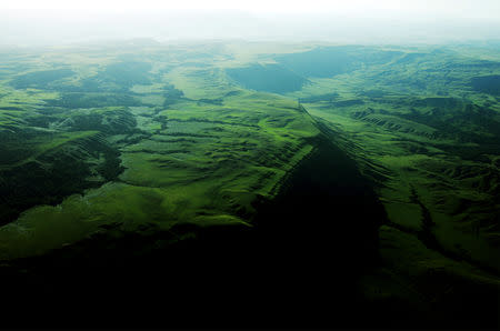 FILE PHOTO: An aerial view of the Gran Sabana, the high plain, in Canaima National Park located in the south-east of Venezuela in Bolivar State close to the borders with Brazil and Guyana, Jan. 13, 2005. REUTERS/Jorge Silva REUTERS/File Photo