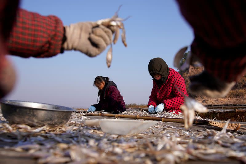 The Wider Image: Fishermen cry foul as China bids to fix drought-hit lake