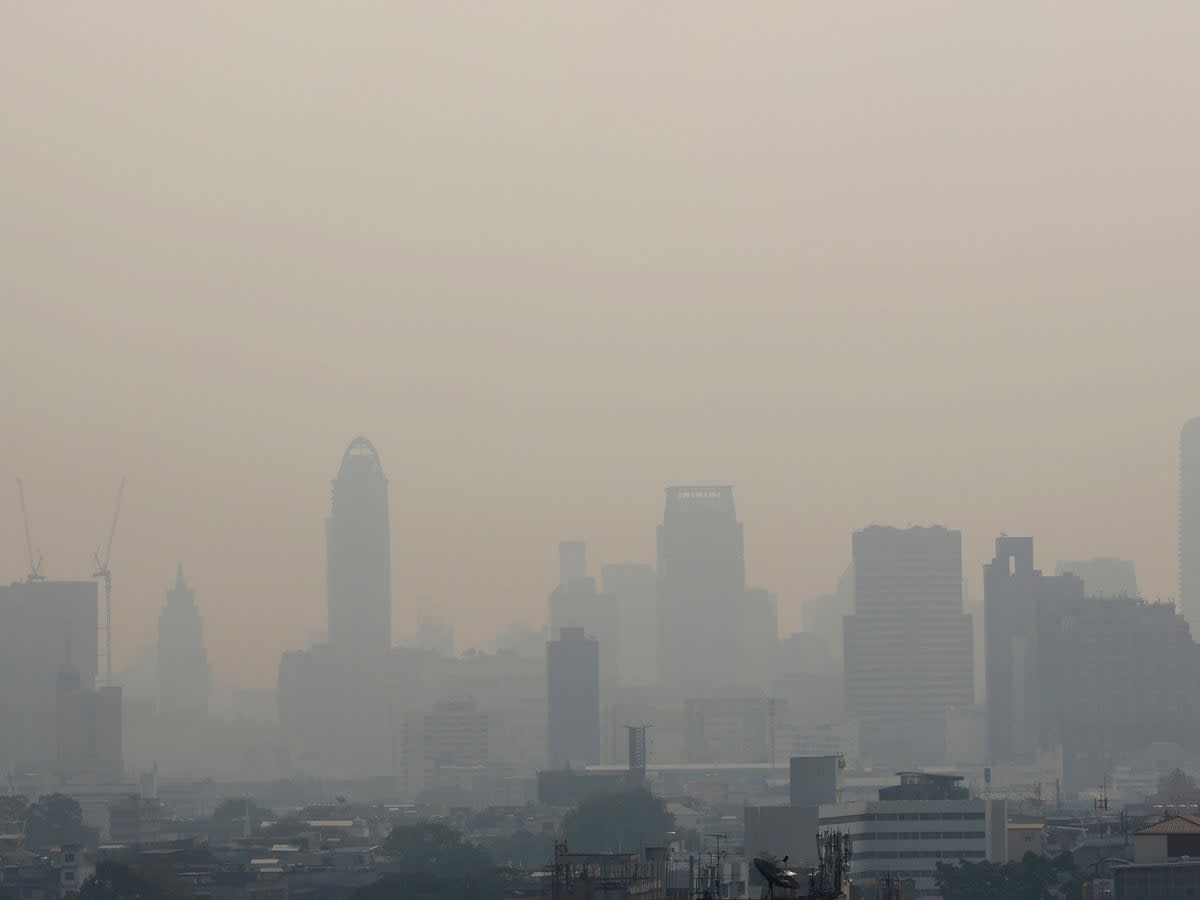Smog lingers over the city as heavy air pollution continues to affect Bangkok, Thailand (EPA)