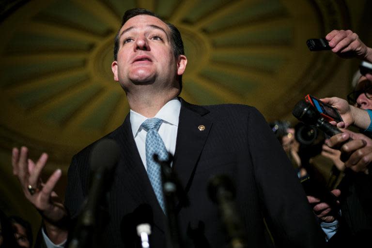 US Senator Ted Cruz speaks to reporters on Capitol Hill October 16, 2013 in Washington, DC