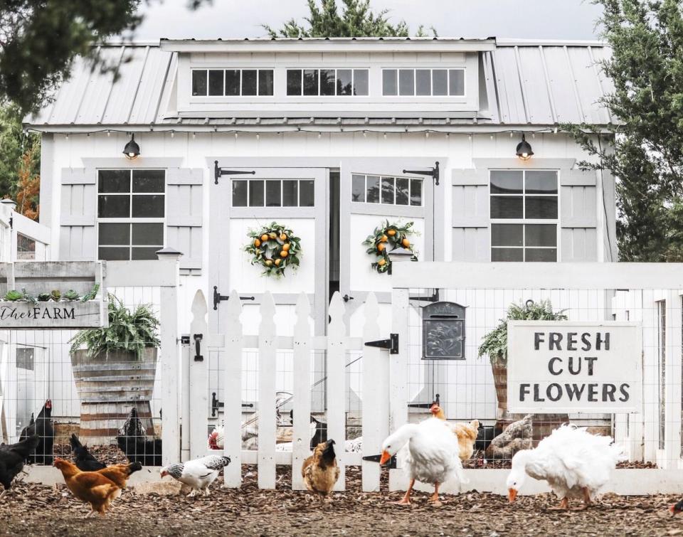 Well-Appointed Chicken Coop