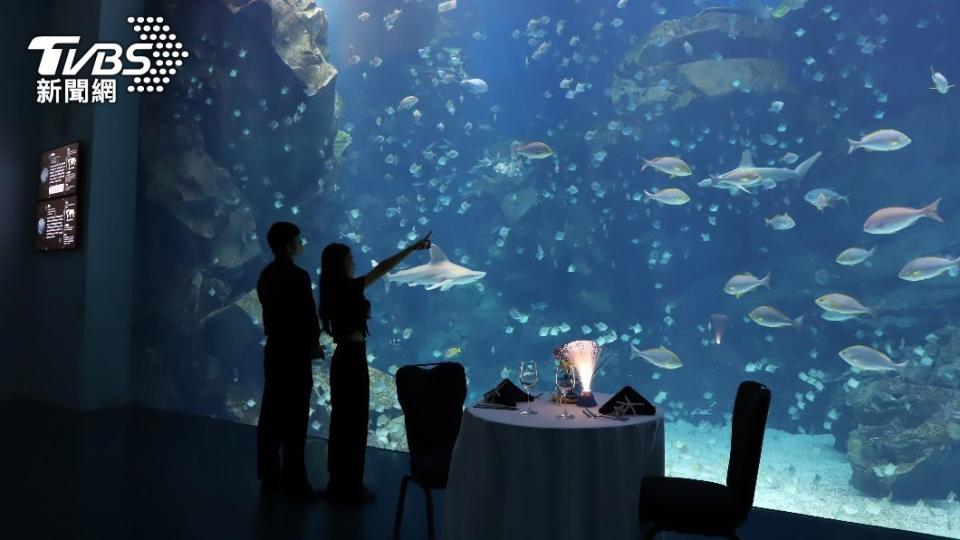 COZZI Blu和逸飯店．桃園館與Xpark聯手推出全台唯一海洋系跨年。（圖／業者提供）