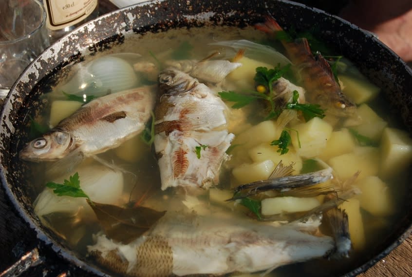 醫生提醒，若誤吞魚刺千萬別用吞飯的方式，要及時就醫。（示意圖，與當事人無關／Pixabay）