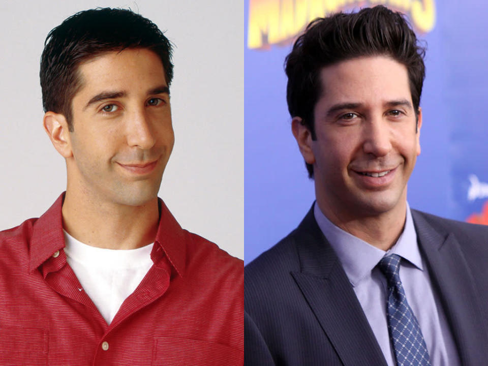 David Schwimmer