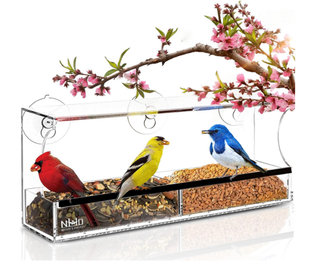 Window Bird Feeder with Strong Suction Cups and Seed Tray – Nature's Hangout