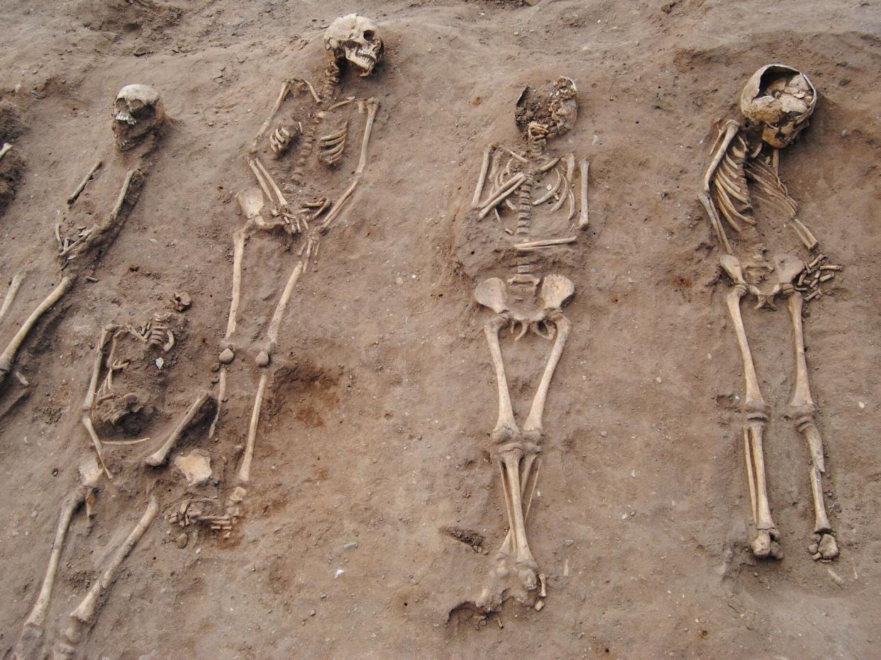 The remains of Black Death victims found in the precincts of a ruined Lincolnshire abbey: University of Sheffield