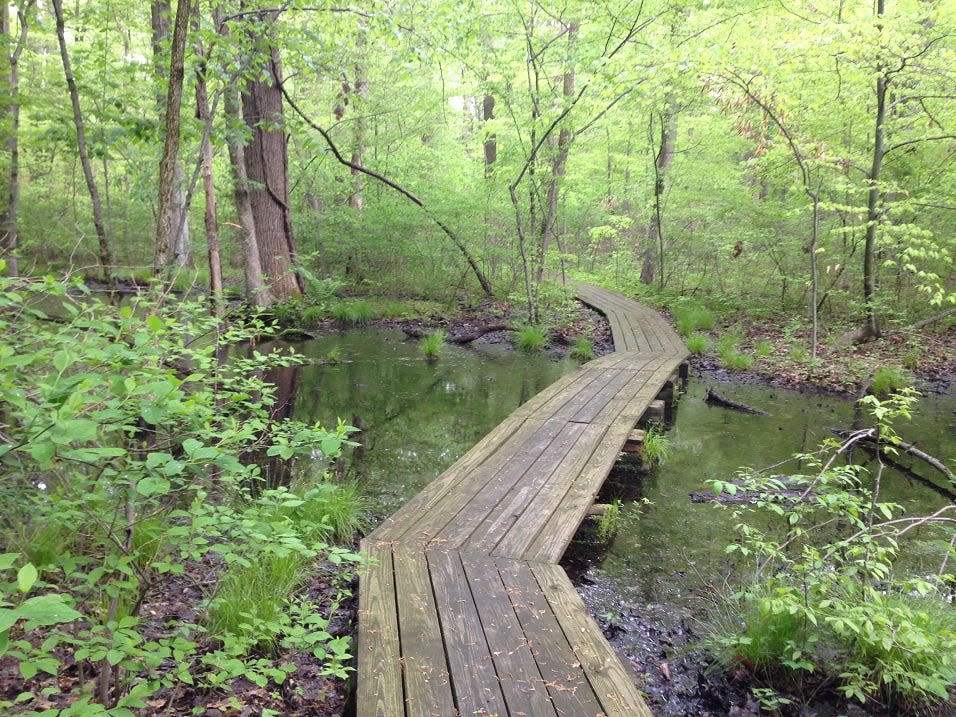 A boardwalk in Gahana Woods State Nature Preserve.