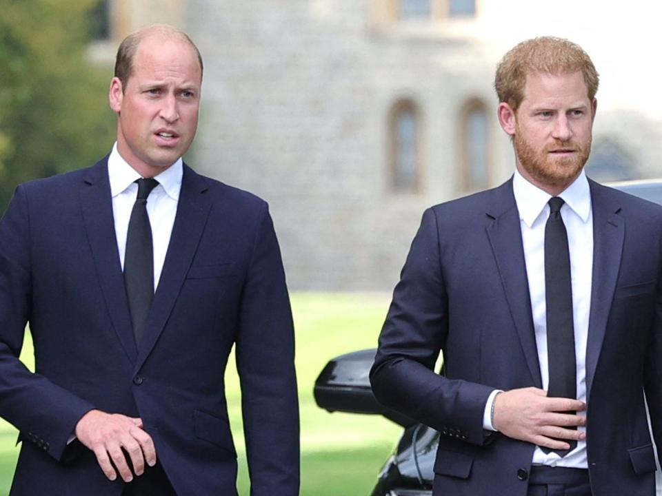 Prince William and Prince Harry at a walkabout at Windsor Castle on September 8, 2022.