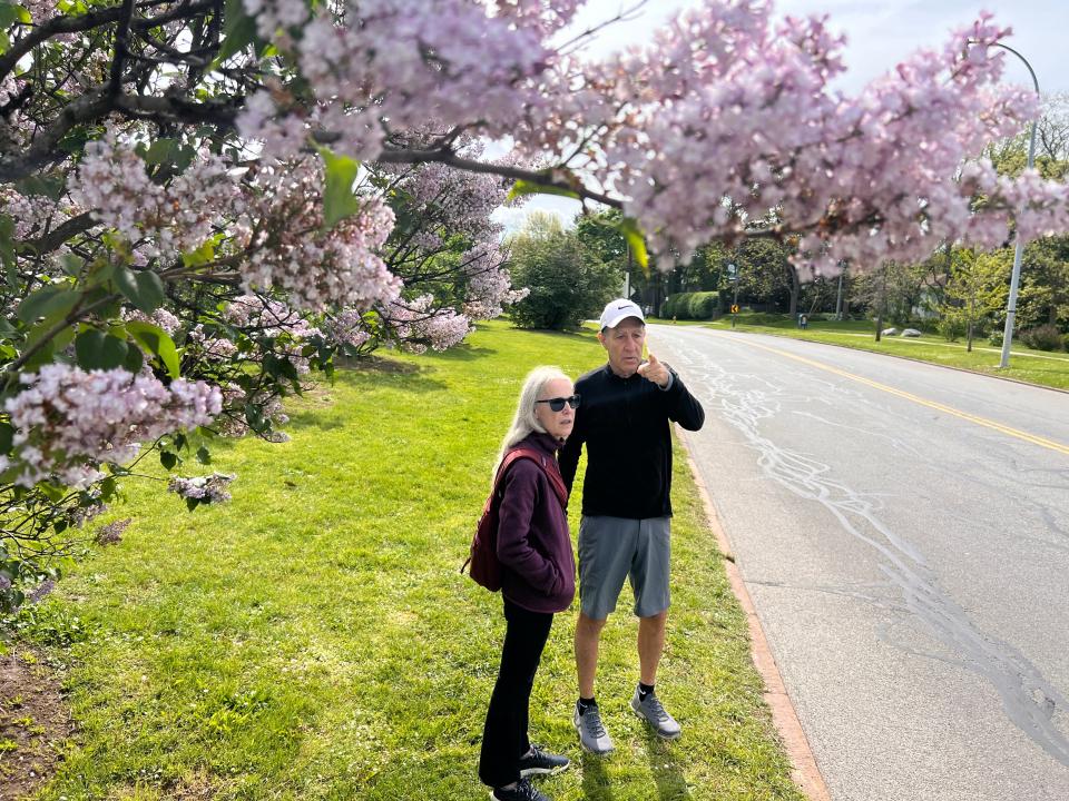 Sherry Hoag and Ken Gallant wait for the Lilac Festival Parade to start among the lilacs on Highland Avenue Saturday morning.