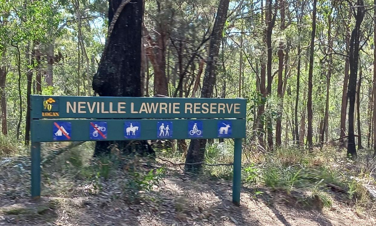 <span>‘How in the hell did they get into this area?’ Bushwalker Nikki Liddell found red imported fire ants nests in Neville Lawrie reserve, which is protected koala habitat</span><span>Photograph: Nikki Liddell</span>