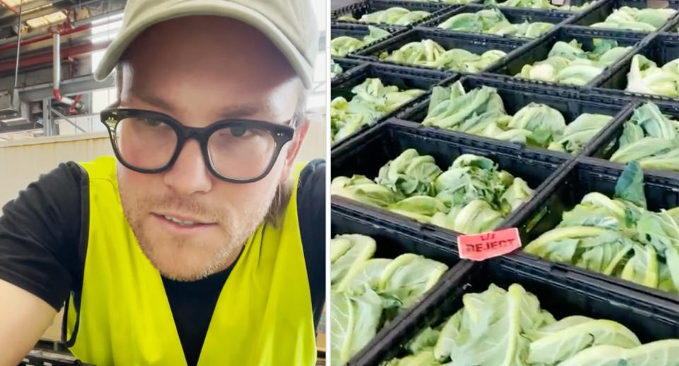 Josh Ball from Farmers Picks with crates of rejected cauliflower. 