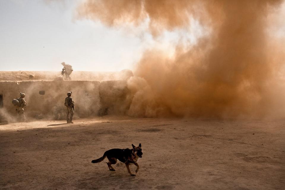 An IED detonates and injures soldiers during "Operation Clarksville" in Kandahar Province, Afghanistan. Oct. 9, 2010.