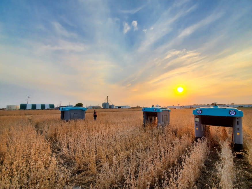 Mineral's plant-inspecting robots roll through a field at sunset.