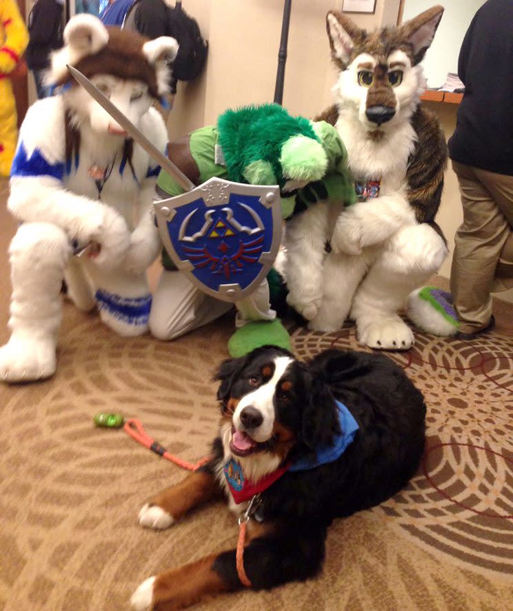 Link the dog, surrounded by furries. (Photo: Kenny Wassus)