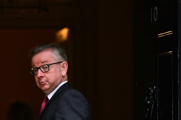 While he campaigned hard in the referendum, Michael Gove is seen as more of a behind-the-scenes operator and intellectual than a grassroots politician who can win over Conservative Party members