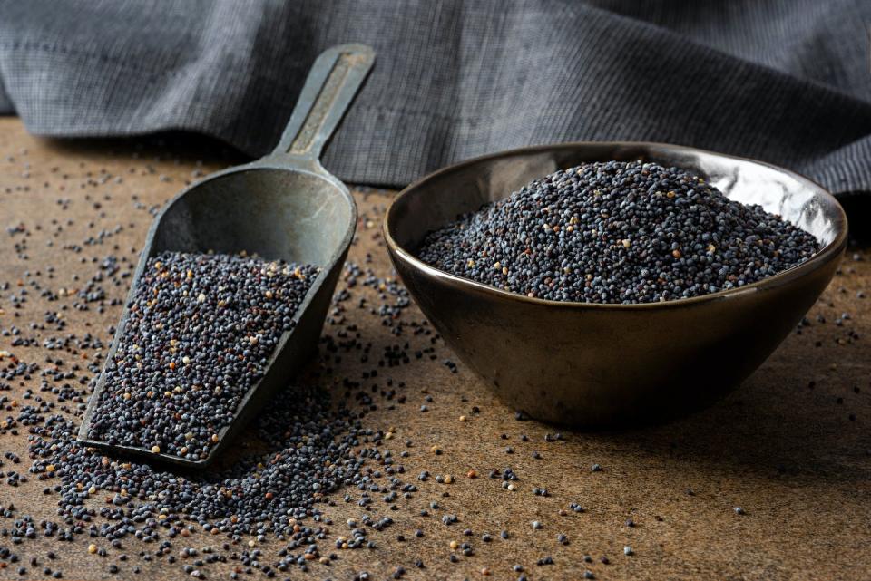 Processing poppy seeds decreases the opiate content that may be on the seed. <a href="https://www.gettyimages.com/detail/photo/poppy-seeds-royalty-free-image/1257842791" rel="nofollow noopener" target="_blank" data-ylk="slk:Burcu Atalay Tankut/Moment via Getty Images;elm:context_link;itc:0;sec:content-canvas" class="link ">Burcu Atalay Tankut/Moment via Getty Images</a>