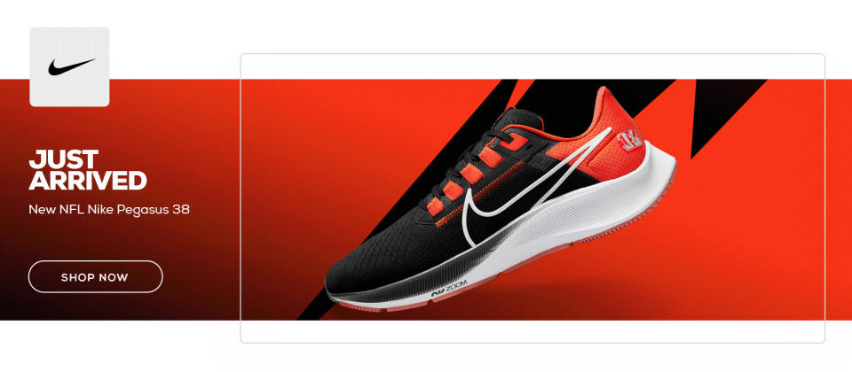 2021 NFL NIKE Pegasus Carousel