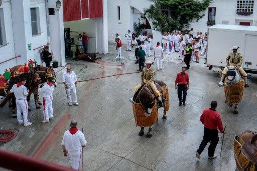 Enquanto isso, a poucos metros, os cavalos arrastam outro touro e os animadores preparam o próximo para ir ao ringue (AFP)