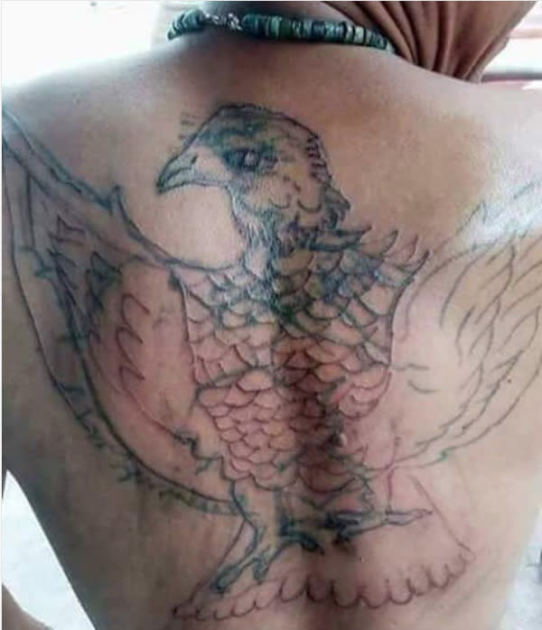 <p>Vögel sollen als Tattoos Freiheit repräsentieren – wer träumt schließlich nicht vom Fliegen? Bei diesem Vogelporträt – das in seiner ersten Version wohl schon so misslungen war, dass sich der Tattoo-Träger noch mal darüberstechen ließ – kommt einem aber eher das Wort „Vogelgrippe“ in den Sinn. Man kann das arme Federvieh fast krächzen hören – und auch der Inhaber dieser nicht ganz geglückten Körperkunst dürfte gestöhnt haben, als er das Endergebnis sah. (Bild: Instagram/ davidsalvadoralbis) </p>