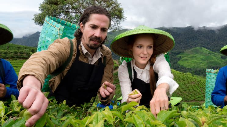 Darby Stanchfield picking tea leaves. 