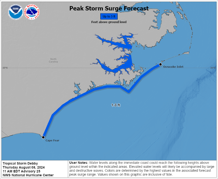 Tropical Storm Debby storm surge outlook as of 11 a.m. Aug. 8.