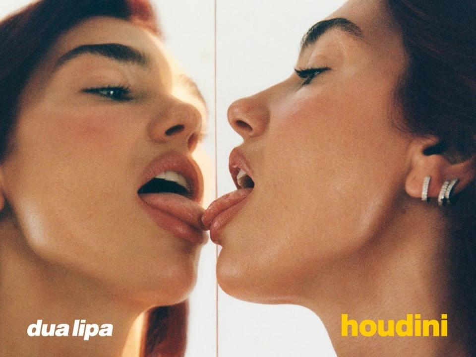 Dua Lipa cover art for ‘Houdini’ (Dua Lipa / Instagram)