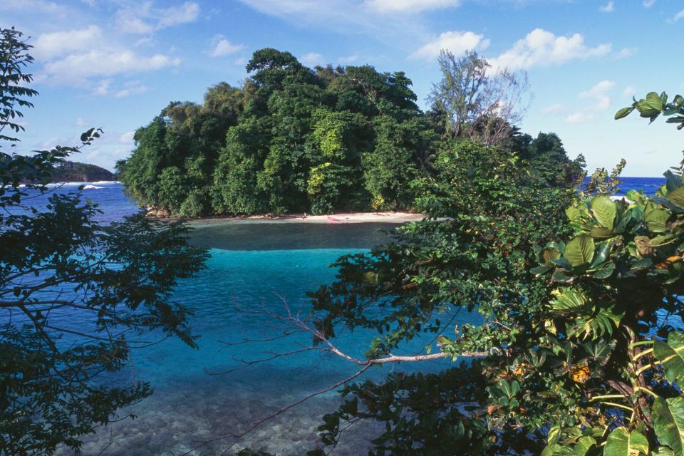 View of Monkey Island covered with vegetation, Port Antonio, Jamaica.