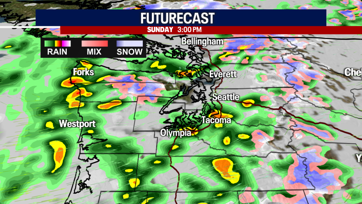 <div>Futurecast at 3 p.m. in Western Washington</div> <strong>(FOX 13 Seattle)</strong>