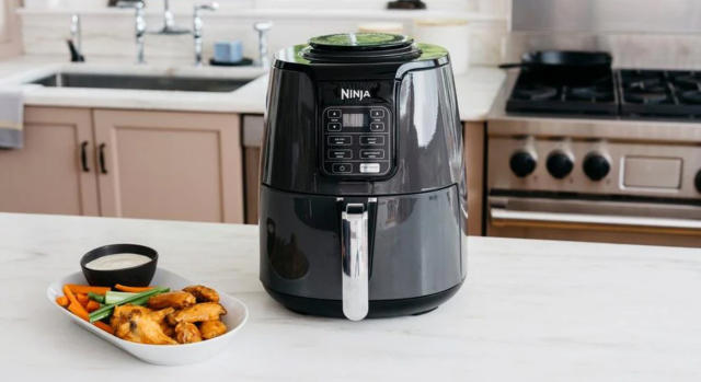 Ninja multi-cooker vs Ninja air fryer: which is most worthy of your money  this Black Friday?