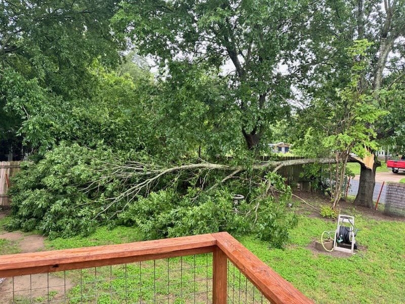 Tree branch broken by straight line winds in Del Valle | Credit: April Dawn Richardson