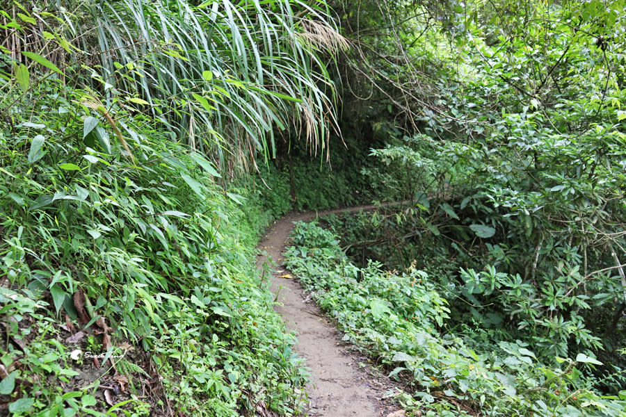 竹坑溪步道