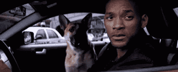 Robert Neville and his dog Sam in "I Am Legend"